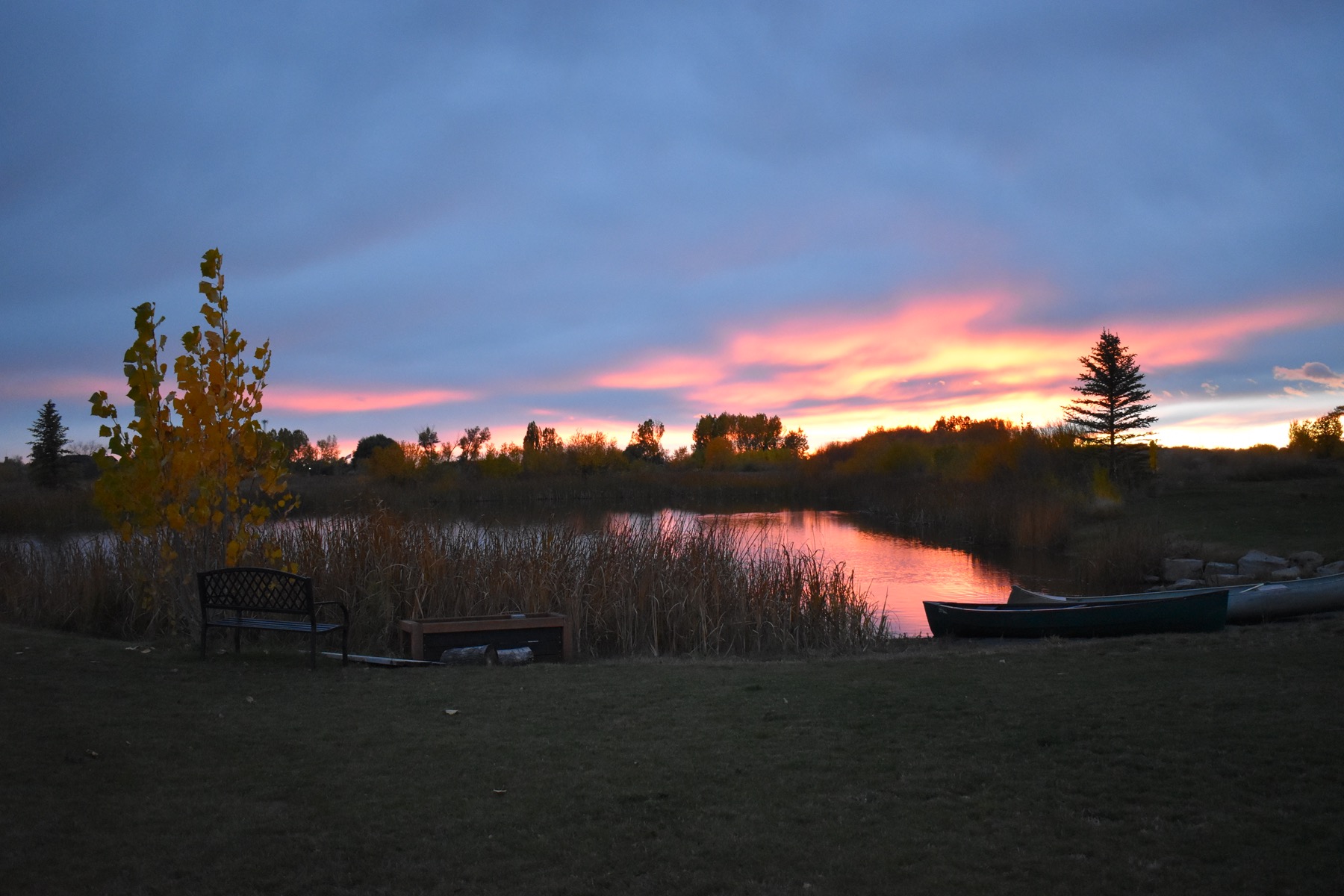 Pond and grounds