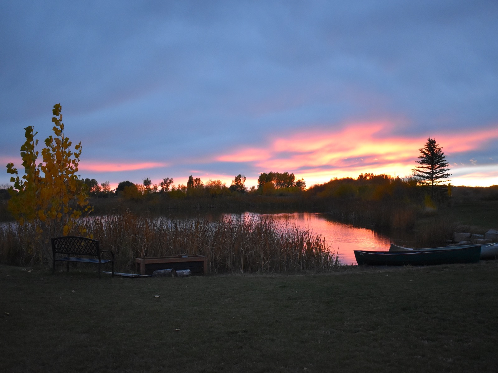 Canoes by the pond